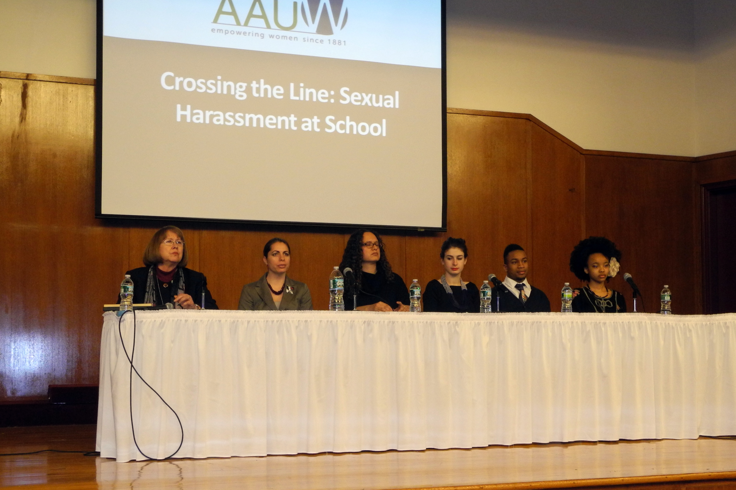 UN CSW AAUW panel